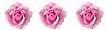 3 rosor
