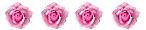 4 rosor