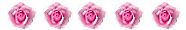 5 rosor