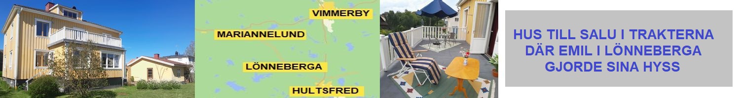 Hus till salu i Mariannelund