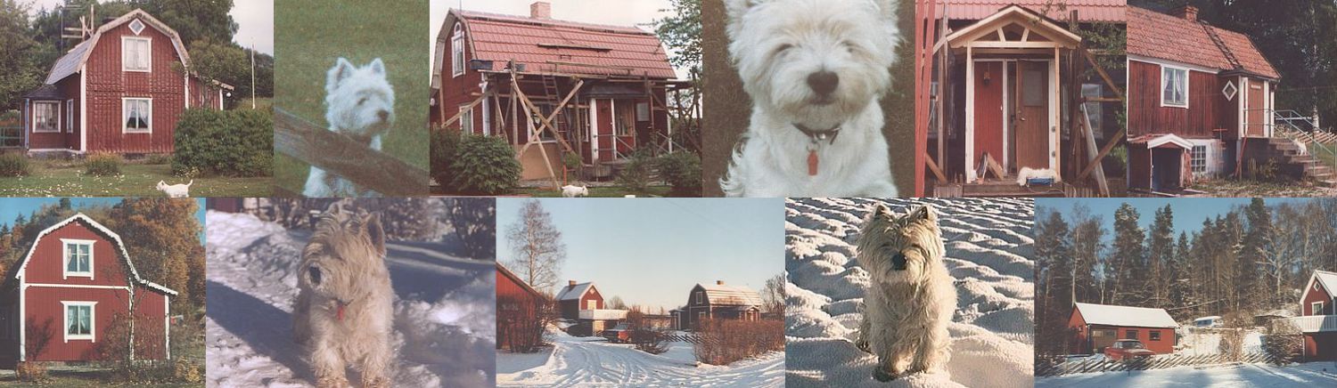 Frasse, westie, Eklunda