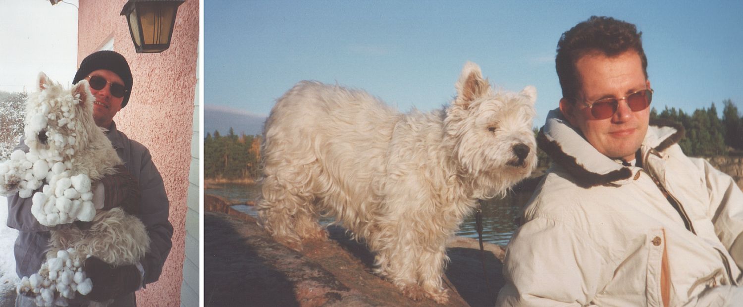 Frasse, westie, vinter + stendörren