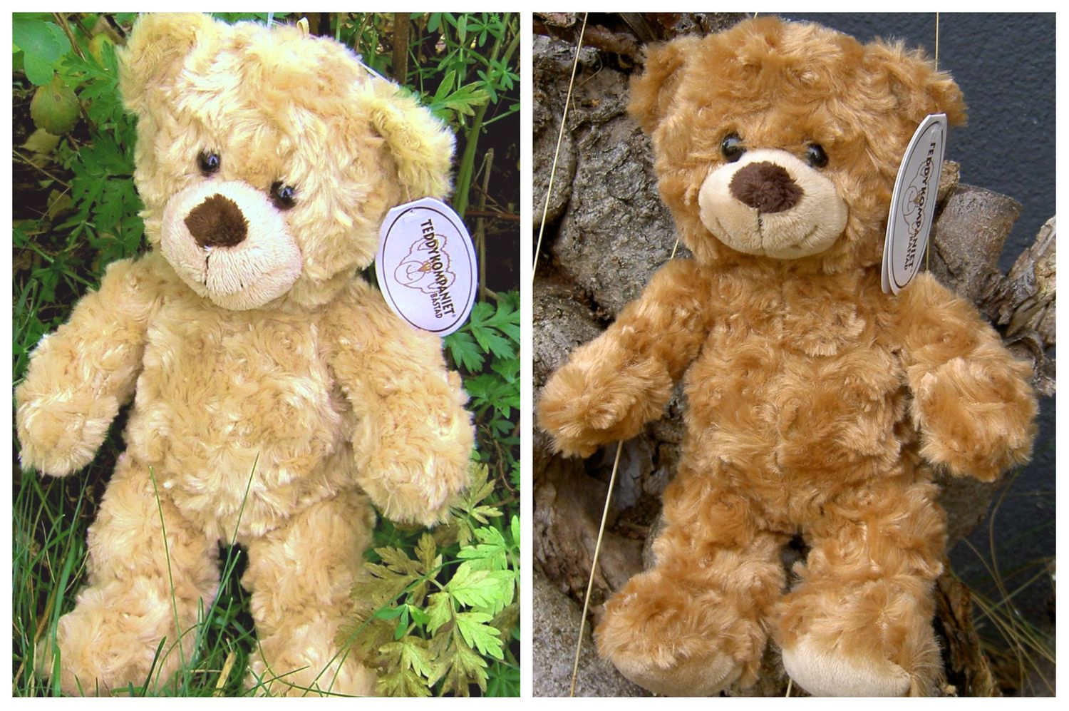 Alfie, teddybjörn